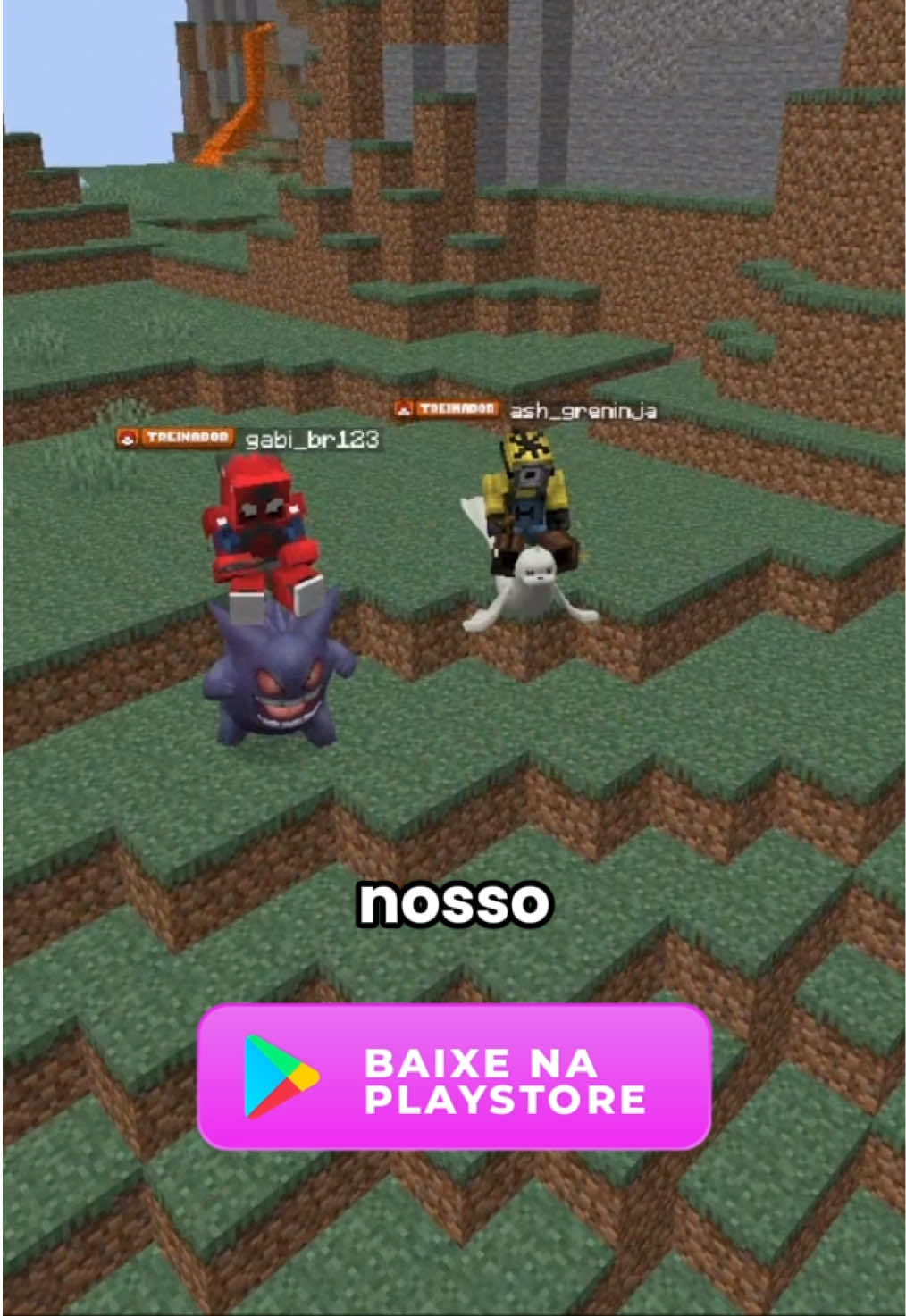 @NetPixelmon Oficial