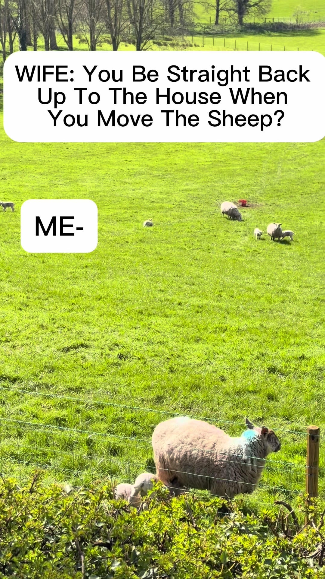 @GTD