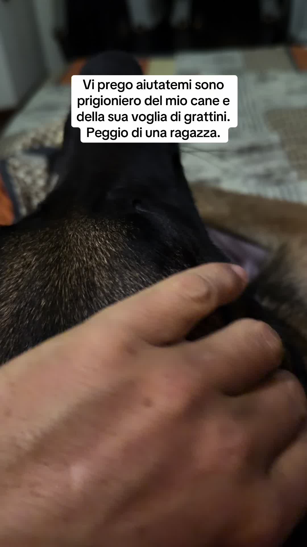 @Edopit94