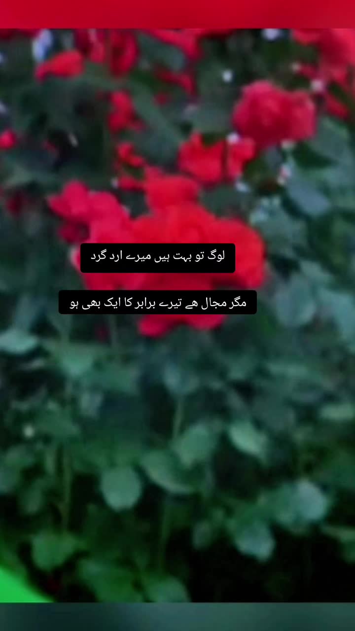 @❤️رسم الفت ❤️