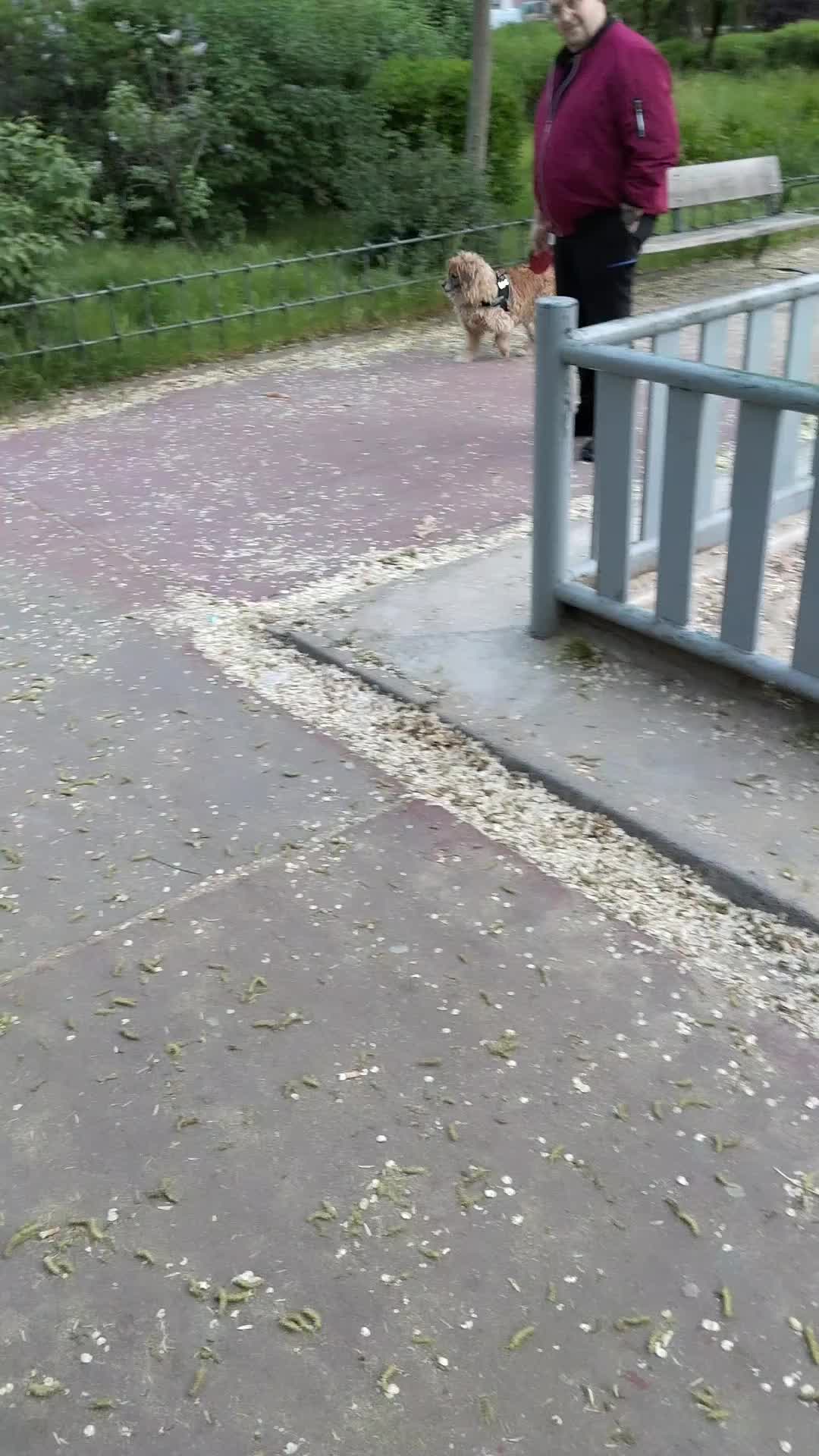 @Kinder