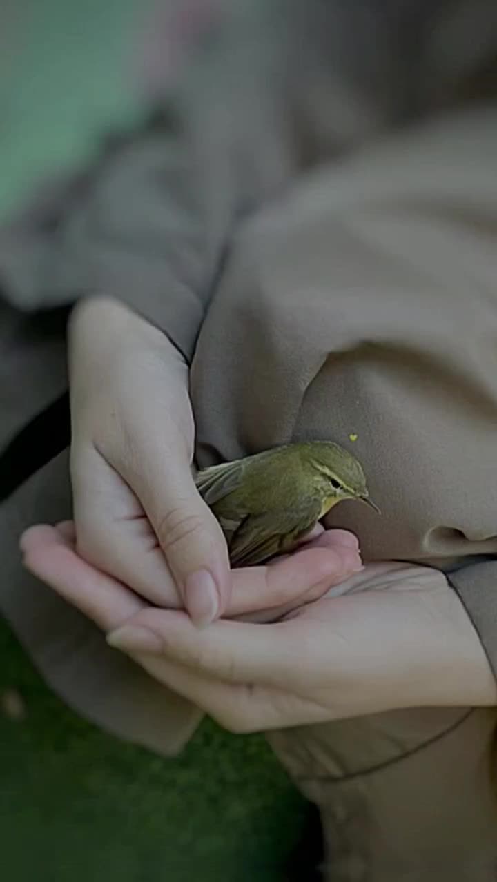 @Sky_angel🕊️