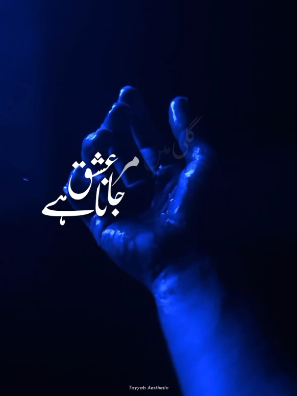 @𝙏 𝘼 𝙔 𝙔 𝘼 𝘽🍁•