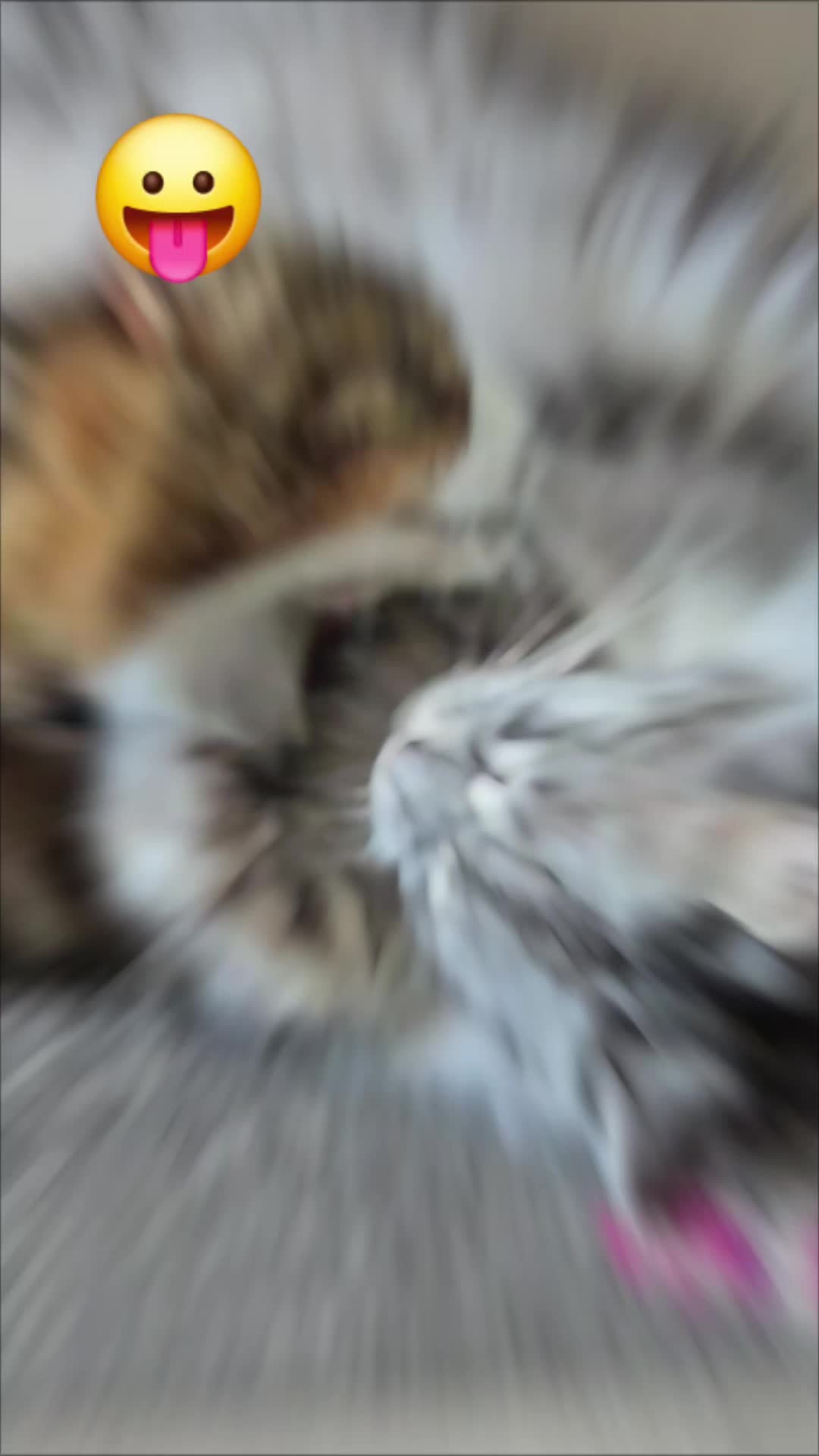 @T/E