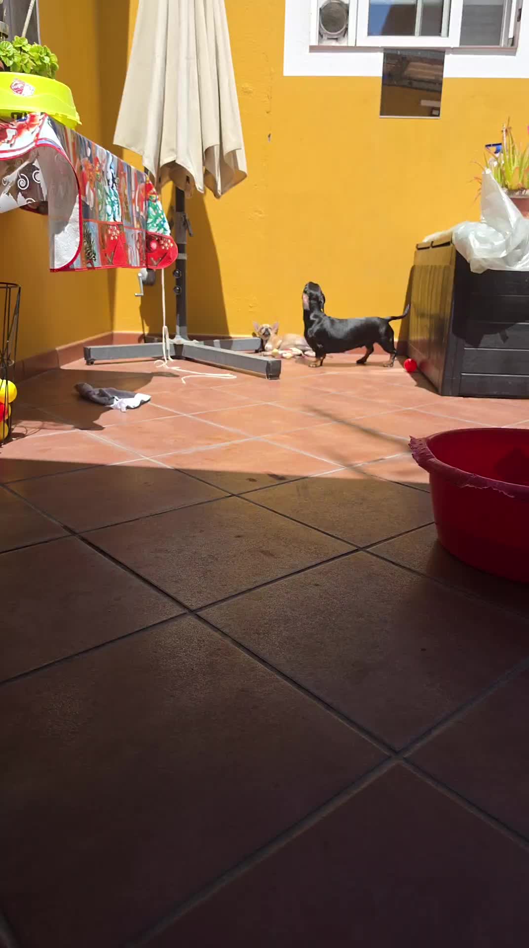 @ygaarcia_