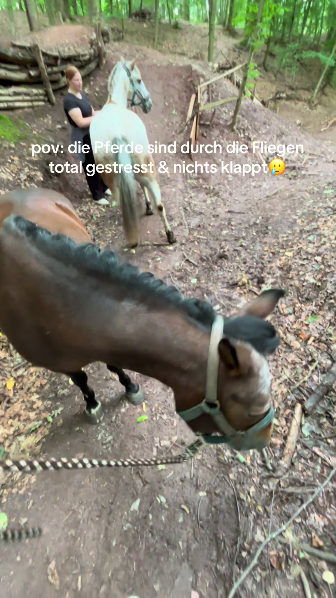 @Kinderreitenfulda