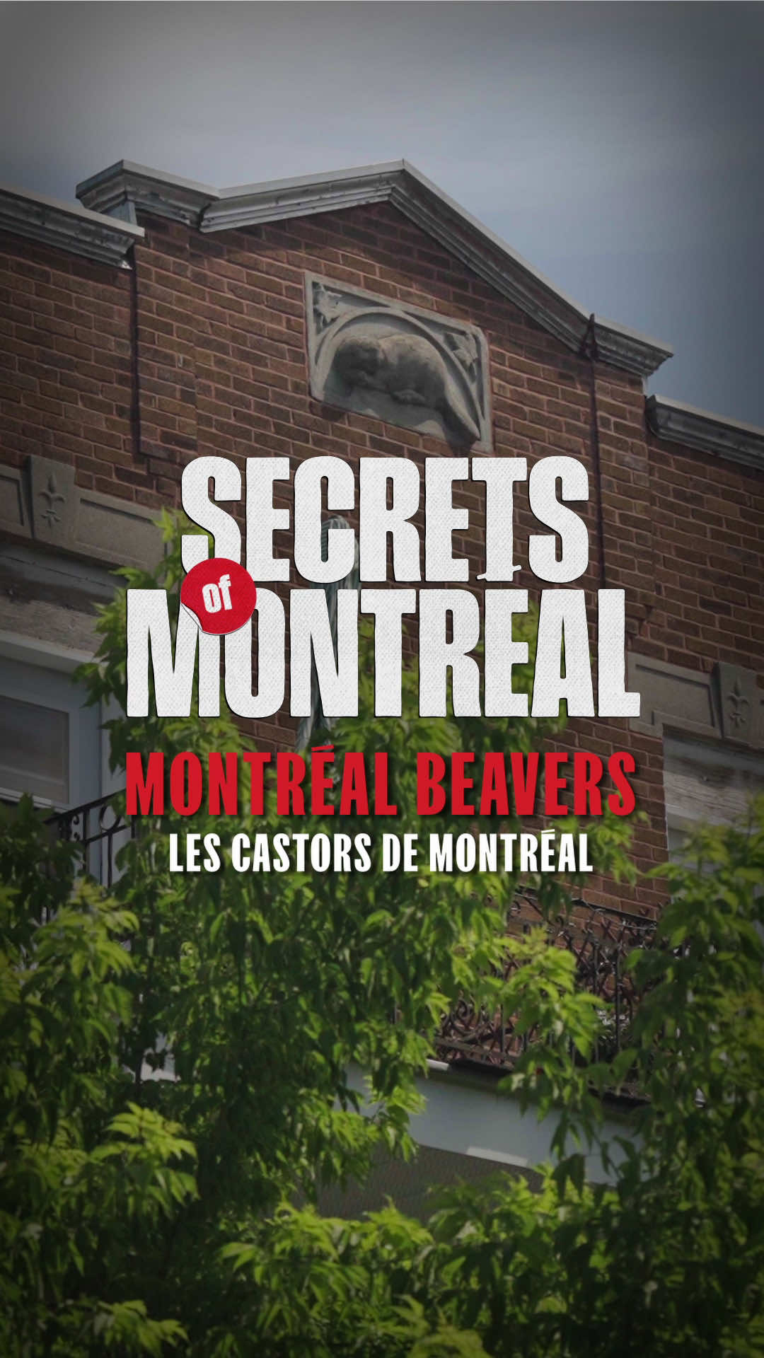 @bonjourmontreal