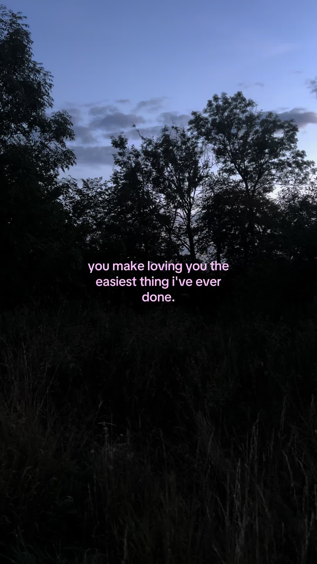 @✧
