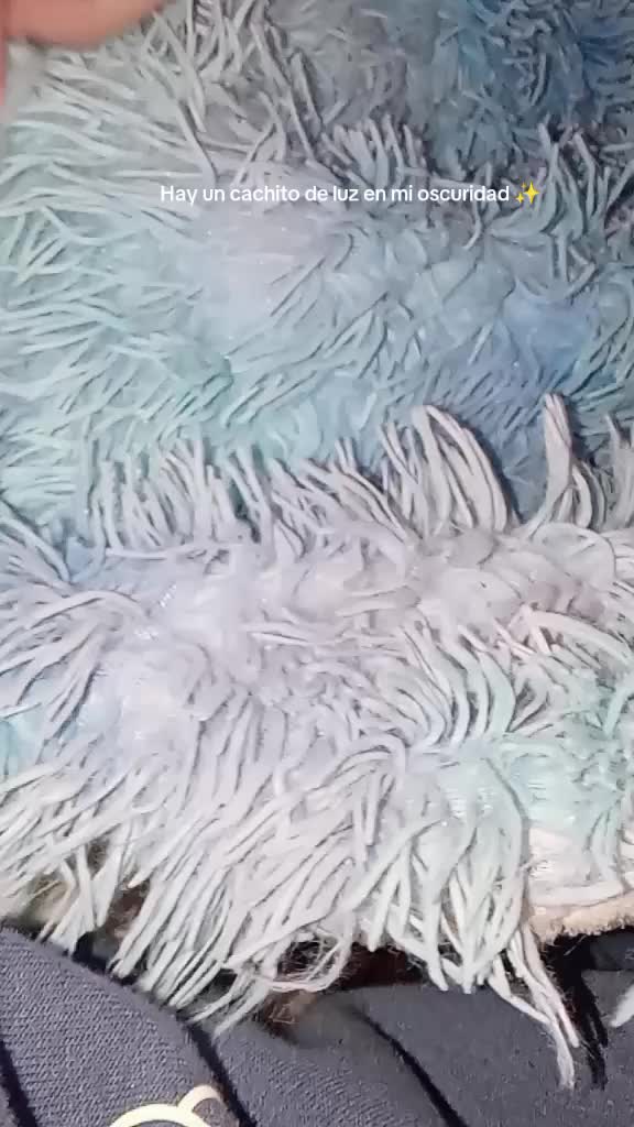 @𝓽𝓸𝓶𝓪𝓽𝓲𝓽𝓸