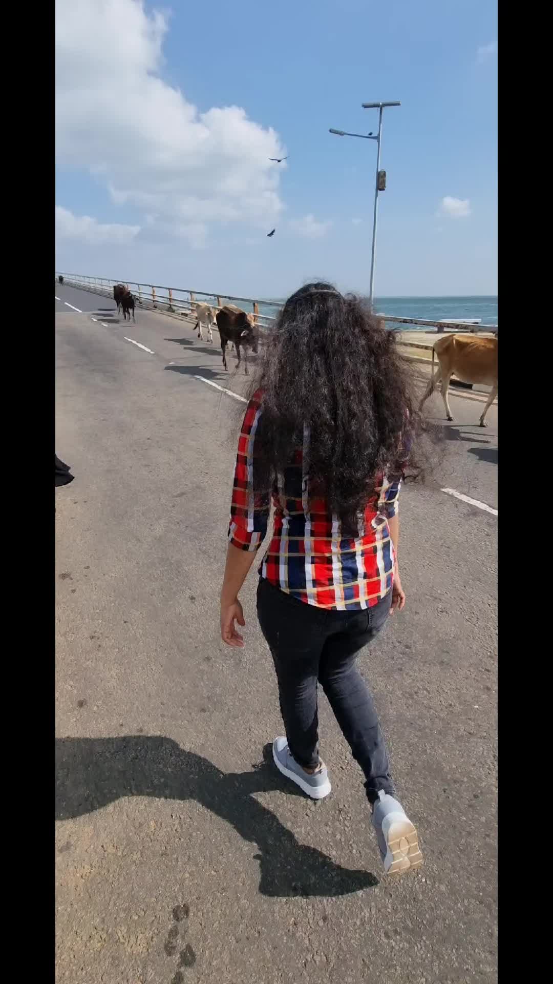 @🇨🇭Tamil ponnu swiss🇨🇭