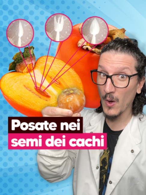 @Cookist