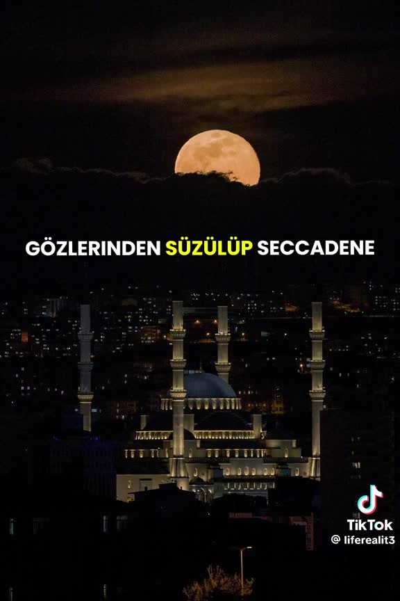 @Zeyit Bin Hadise