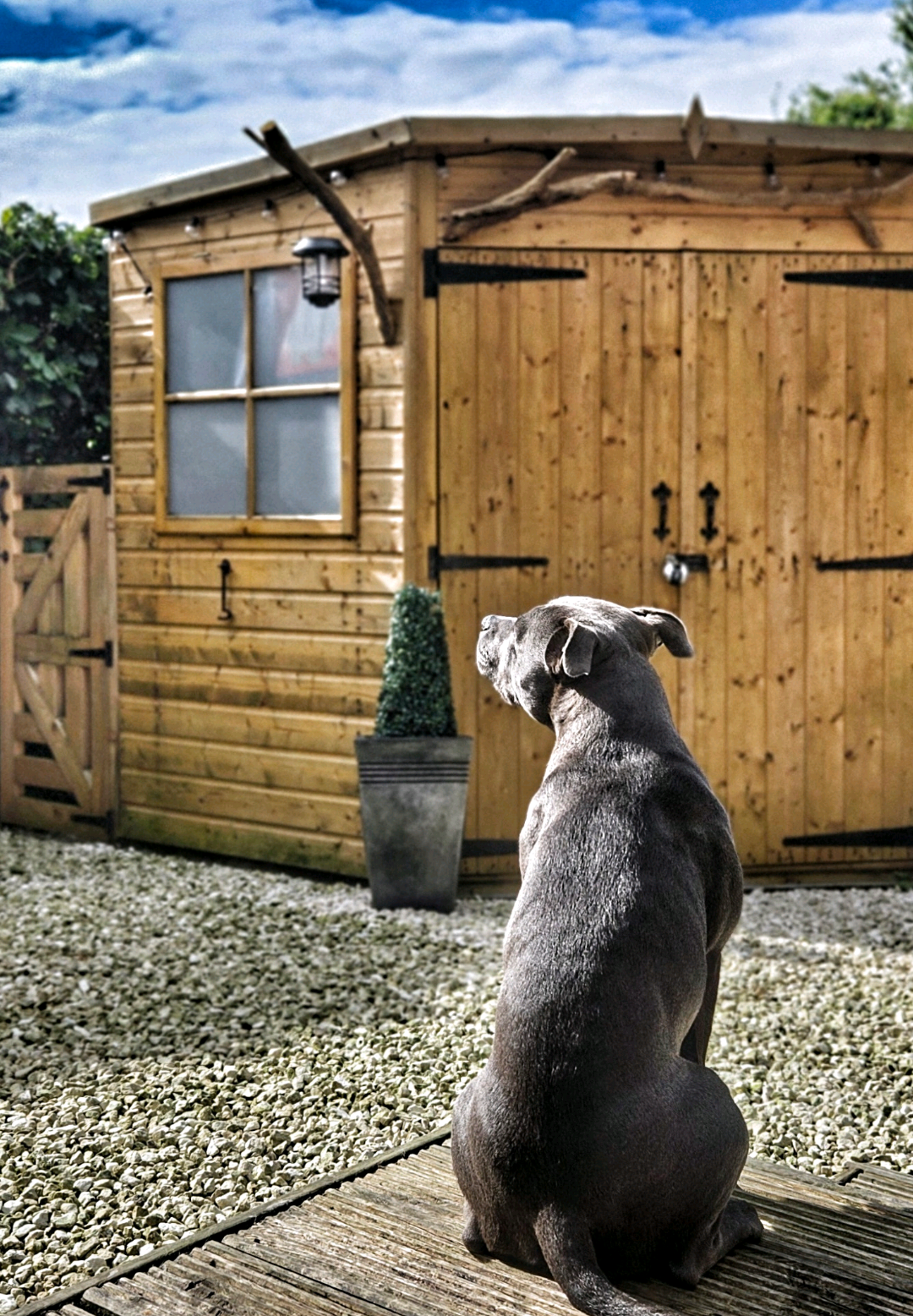 @Scotland with Aggie and Pups✨️