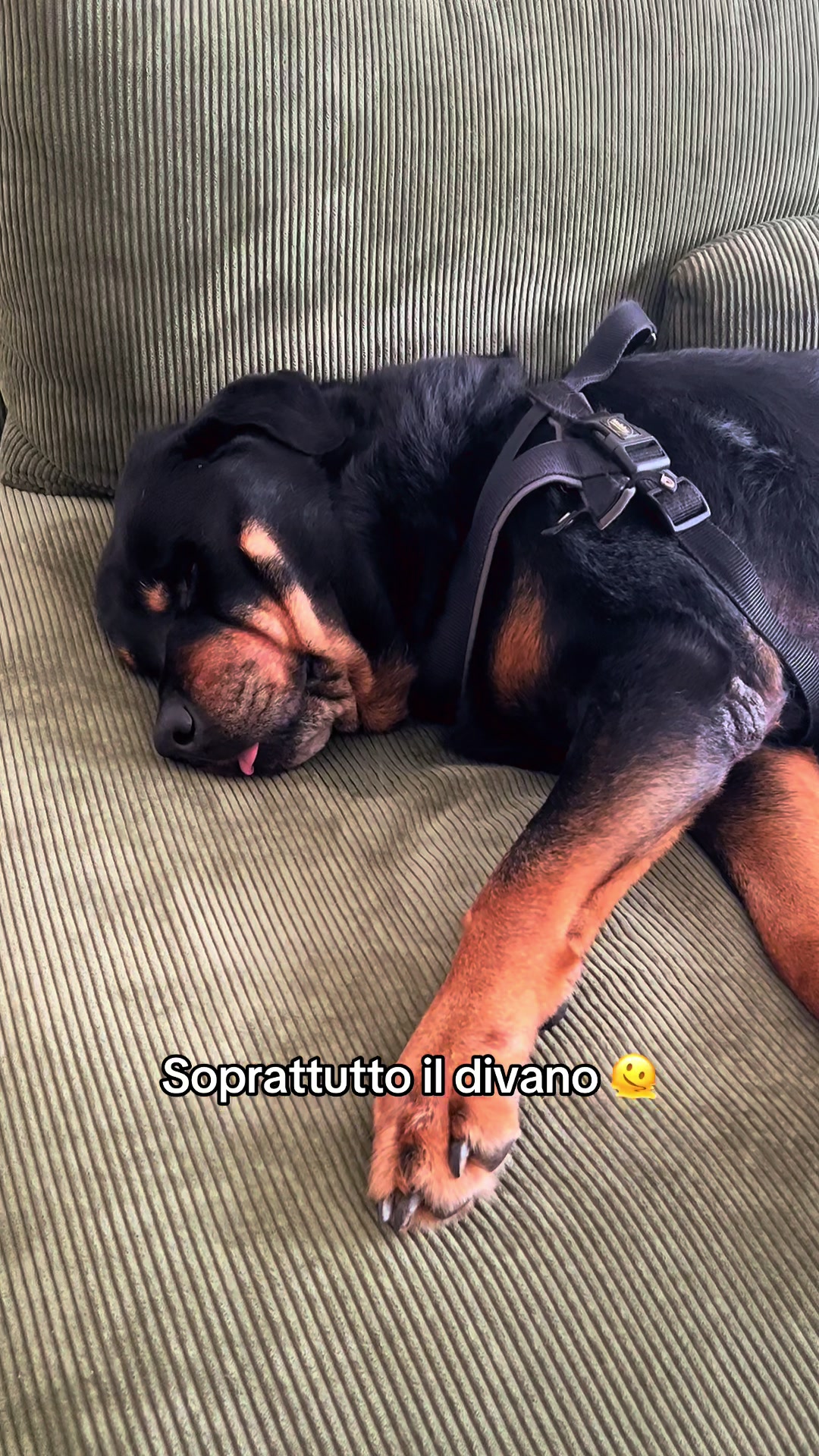 @Silvana Caramia