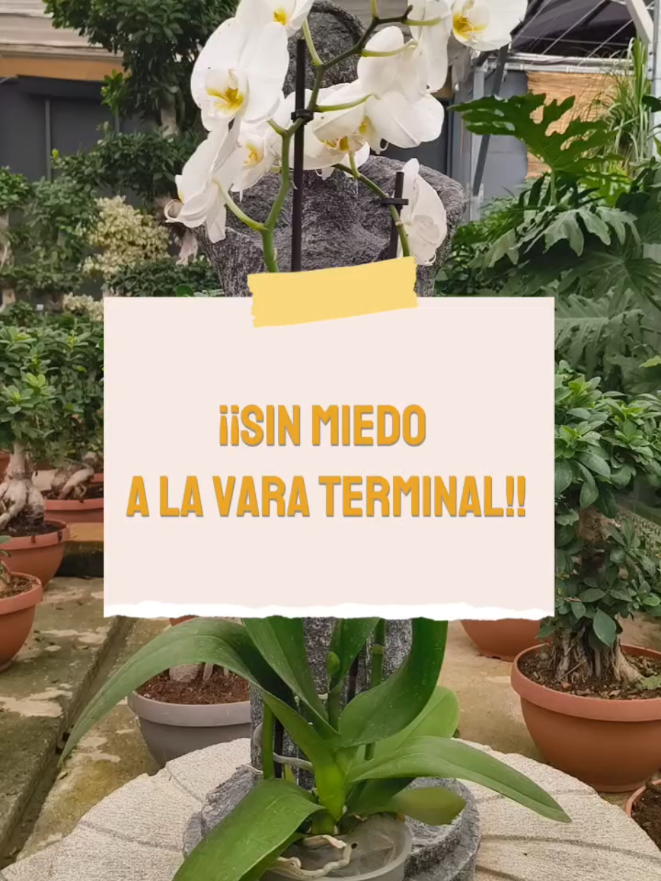@𝑴𝒊 P𝒂𝒕𝒊𝒐𝒉𝒖𝒆𝒓𝒕𝒐