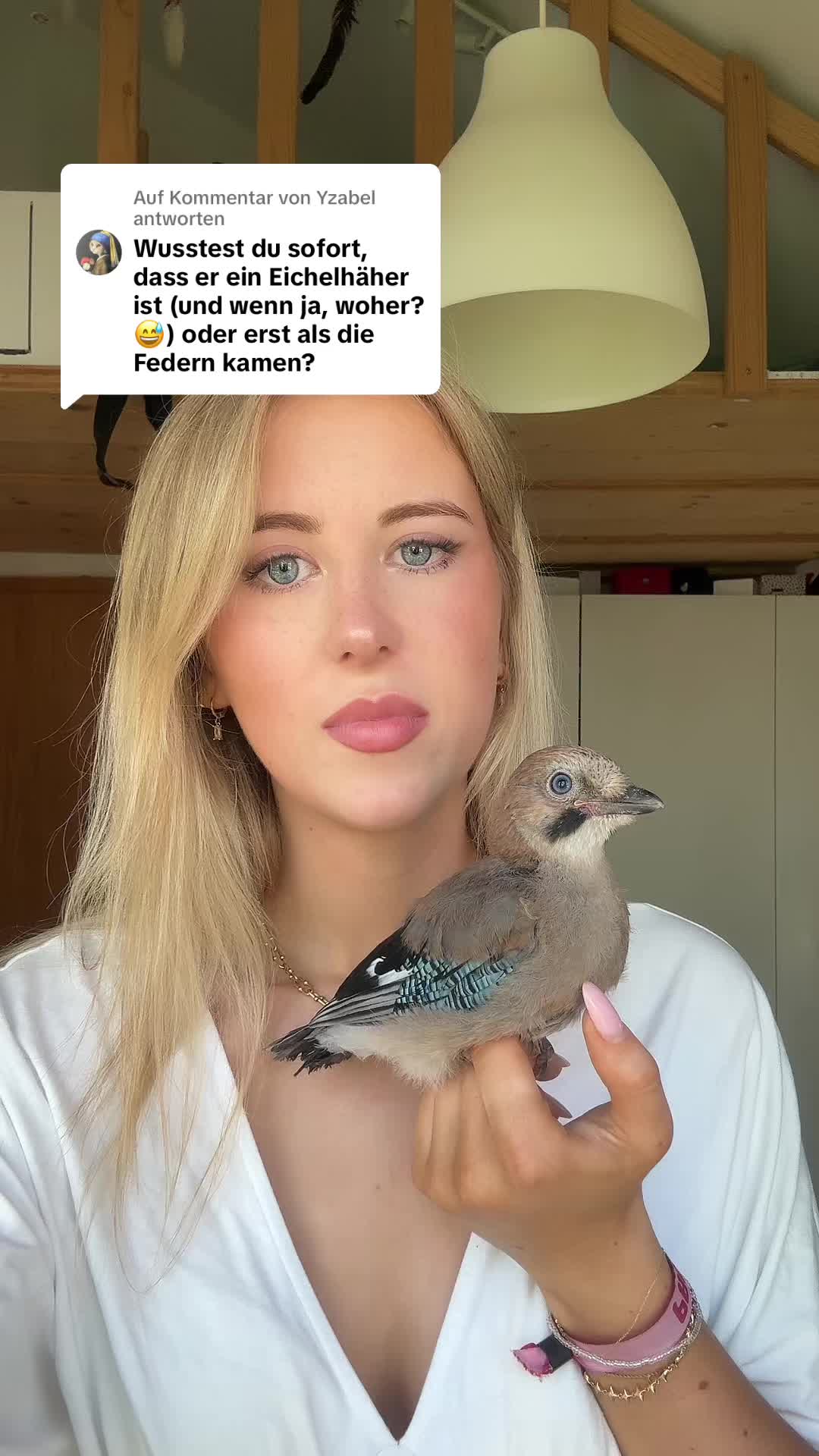 @luca carolin