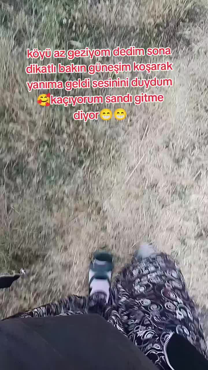 @0660575445773344234