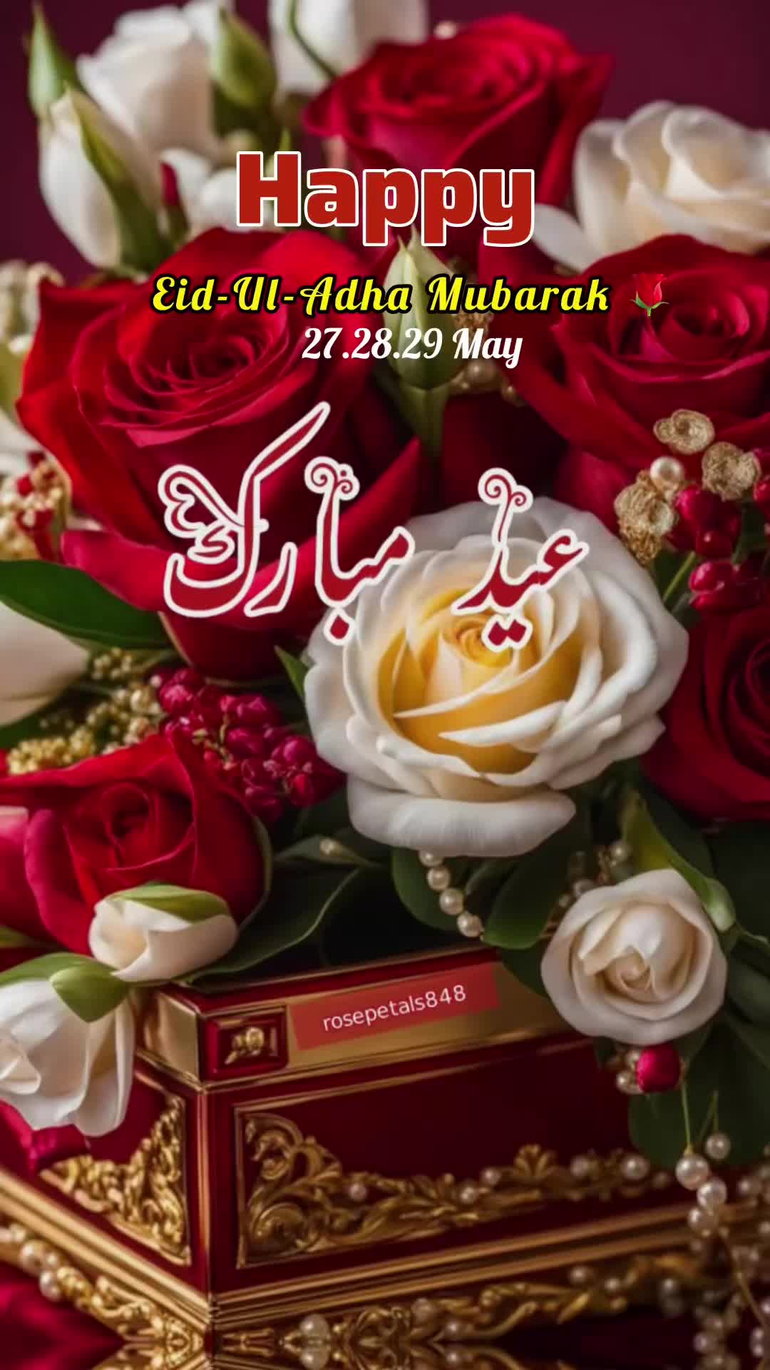 @👈🕋💚rosepetals848🤍🕌👈