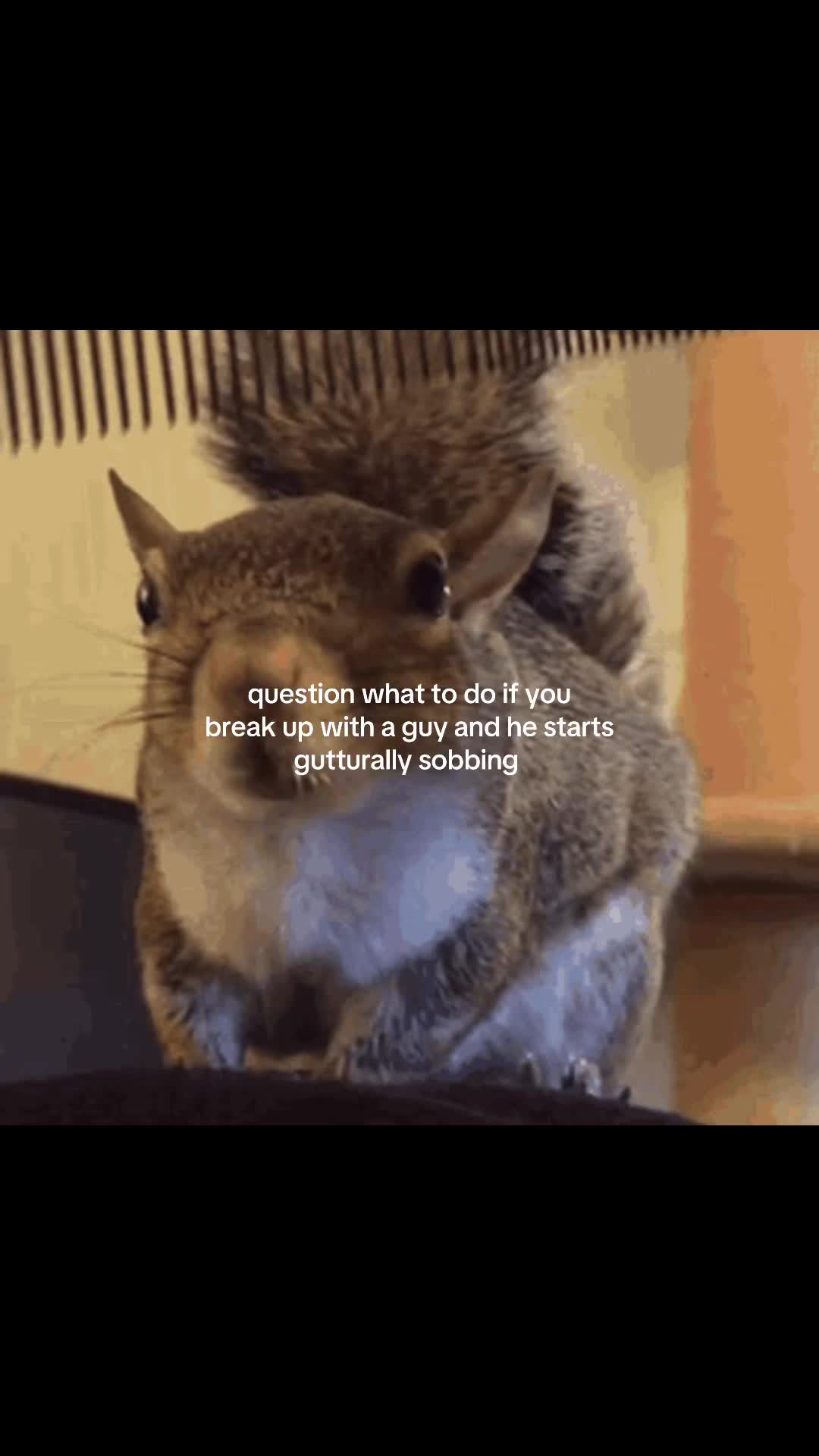 @user