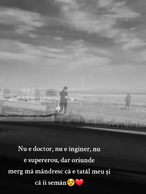 @Mariana Teodorascu