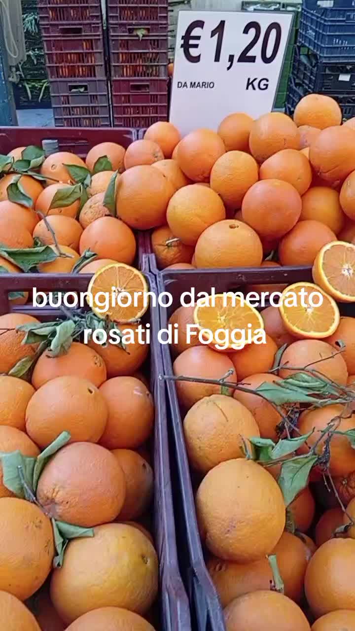 @mariodantonio7