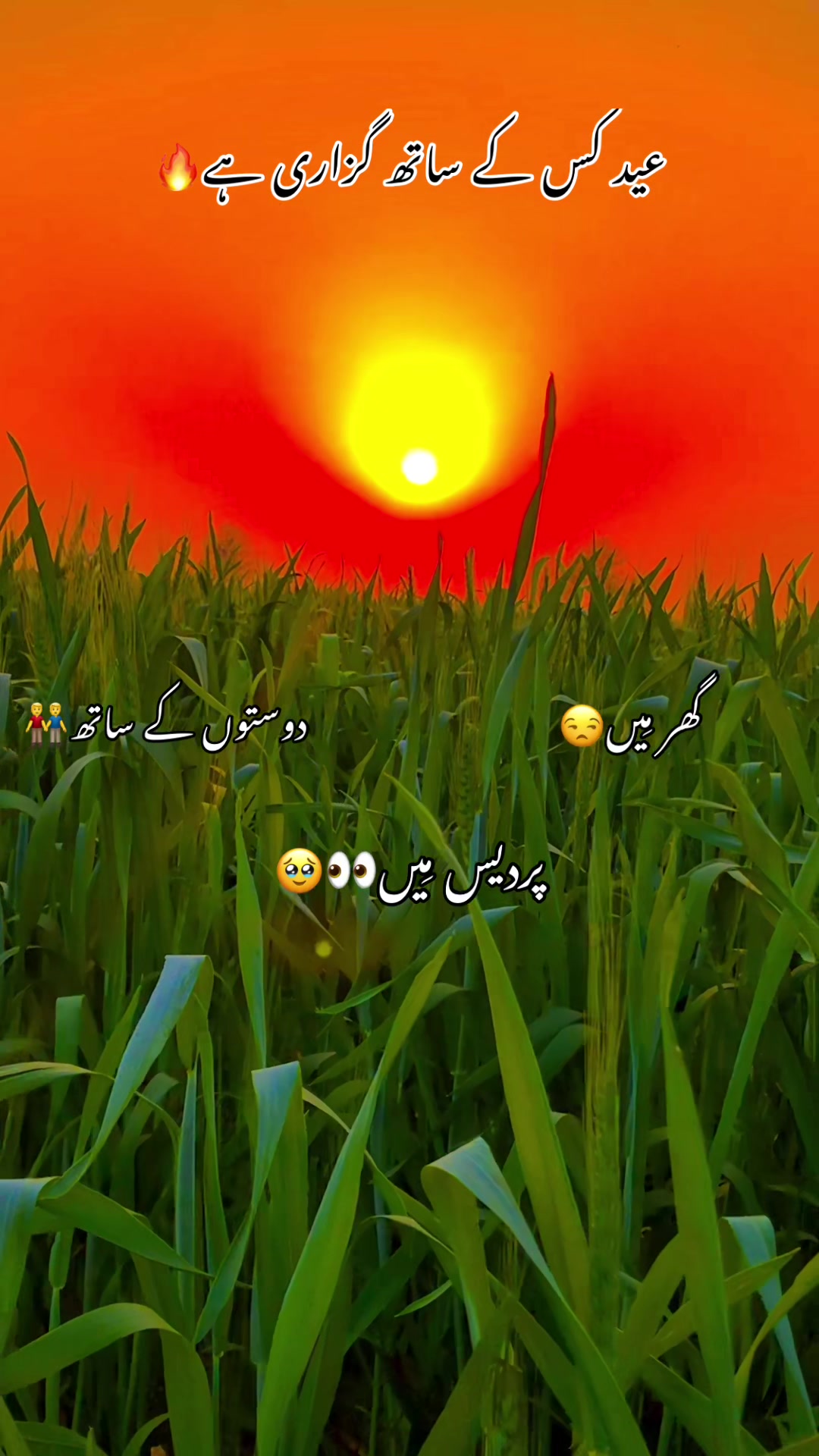 @🌾🌱پنجابی کلچر 🌾🌱