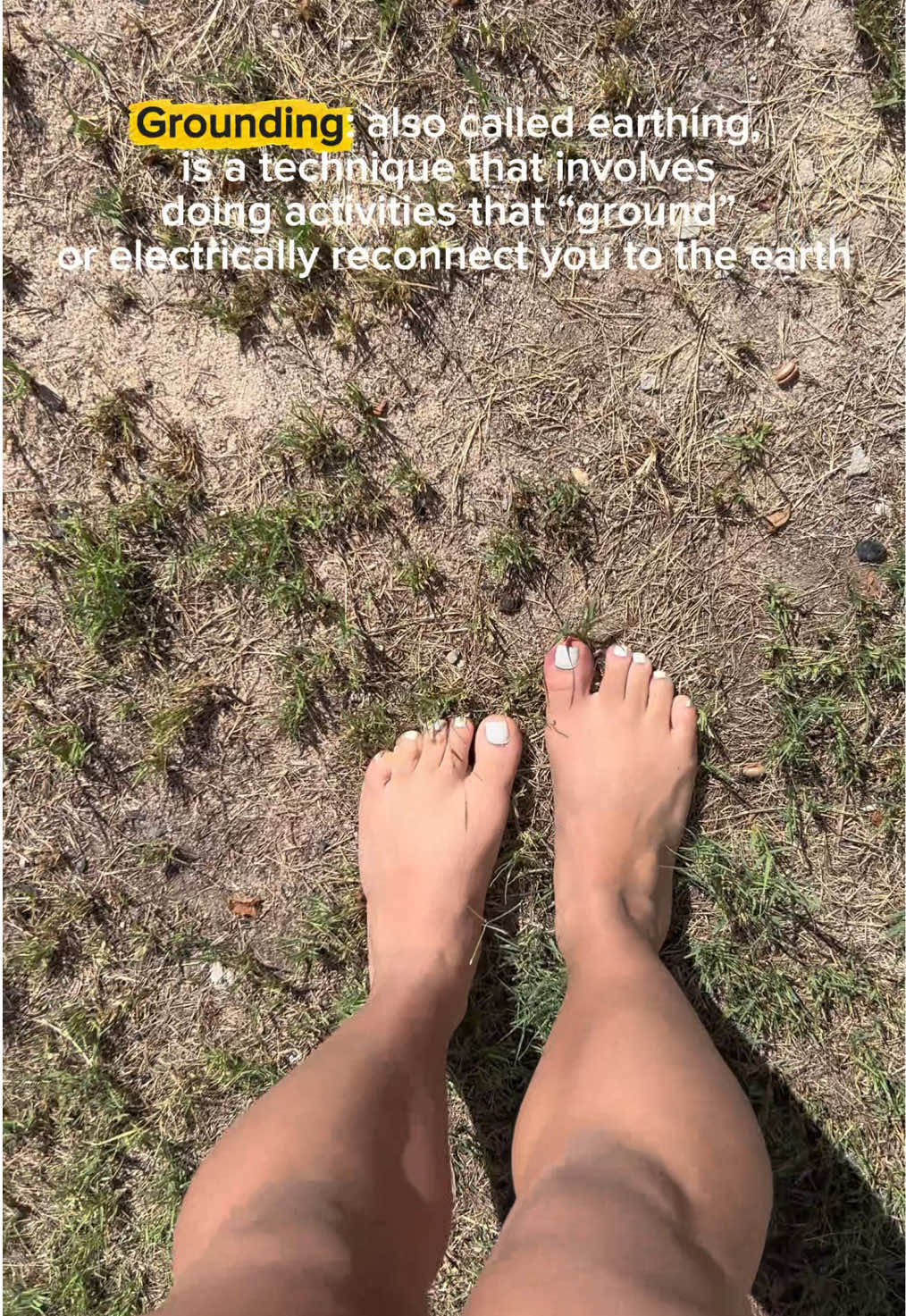 @dani aria