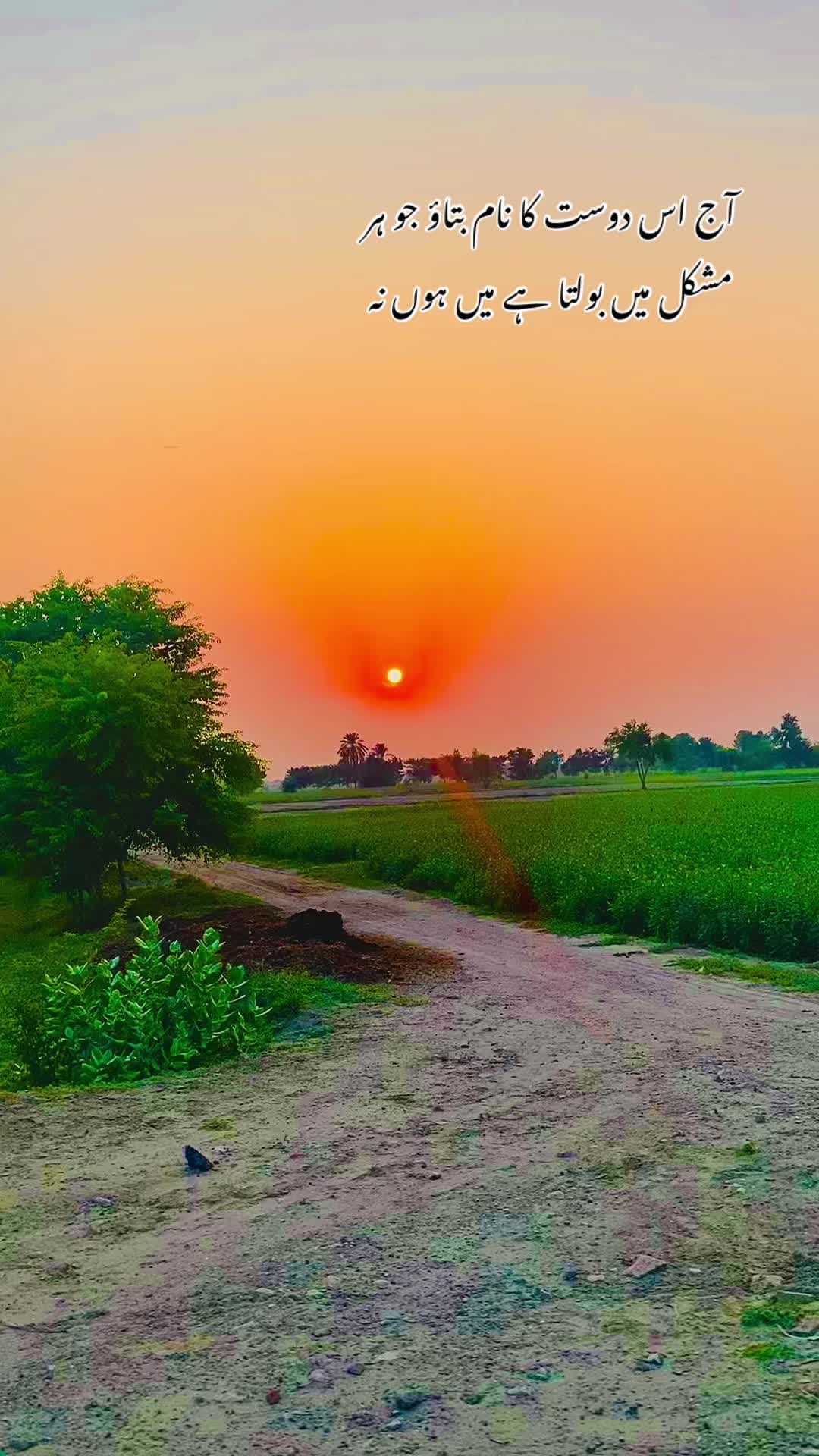 @پنجاب زادہ🌿