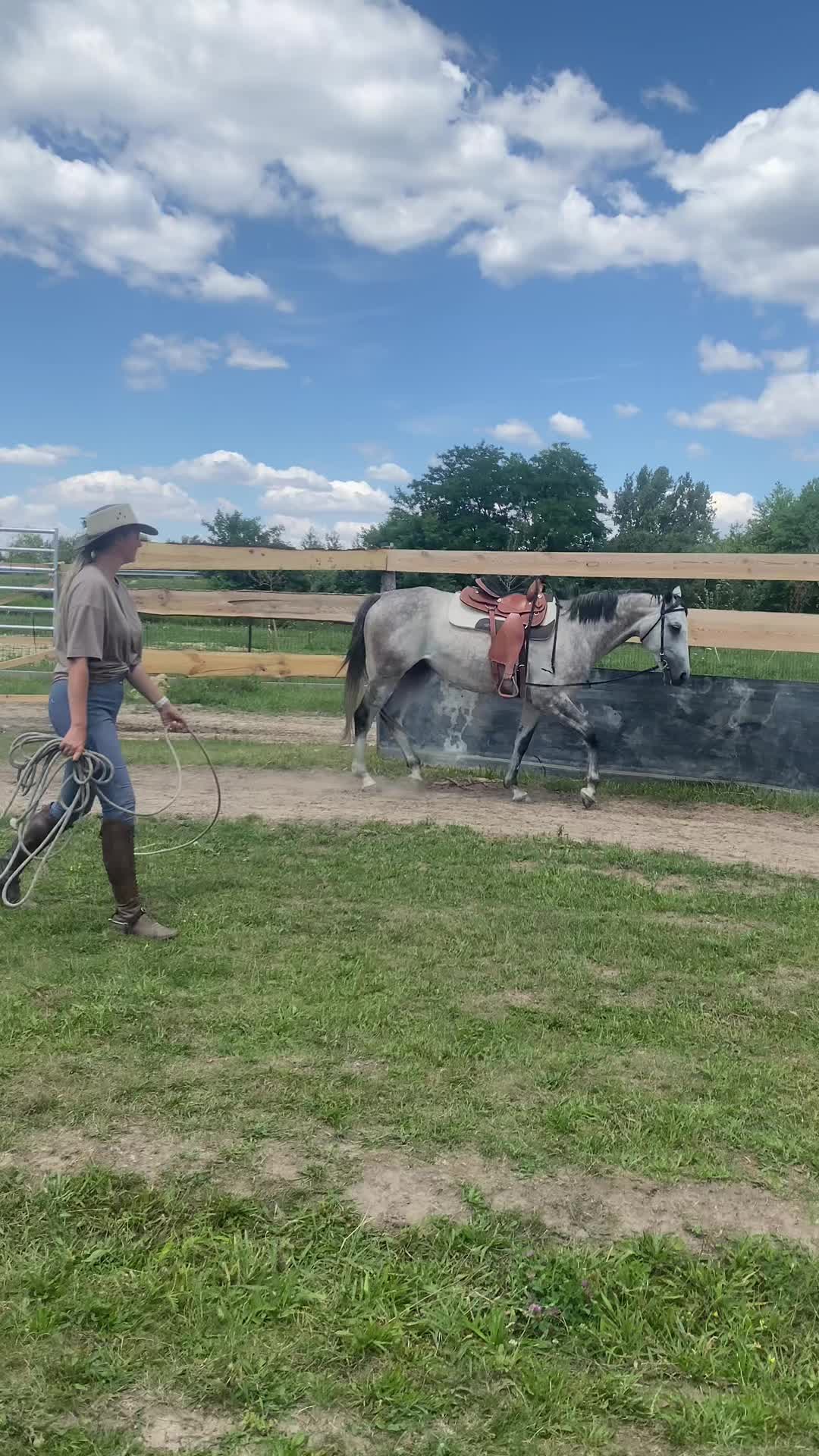 @Cestou Horsemanshipu