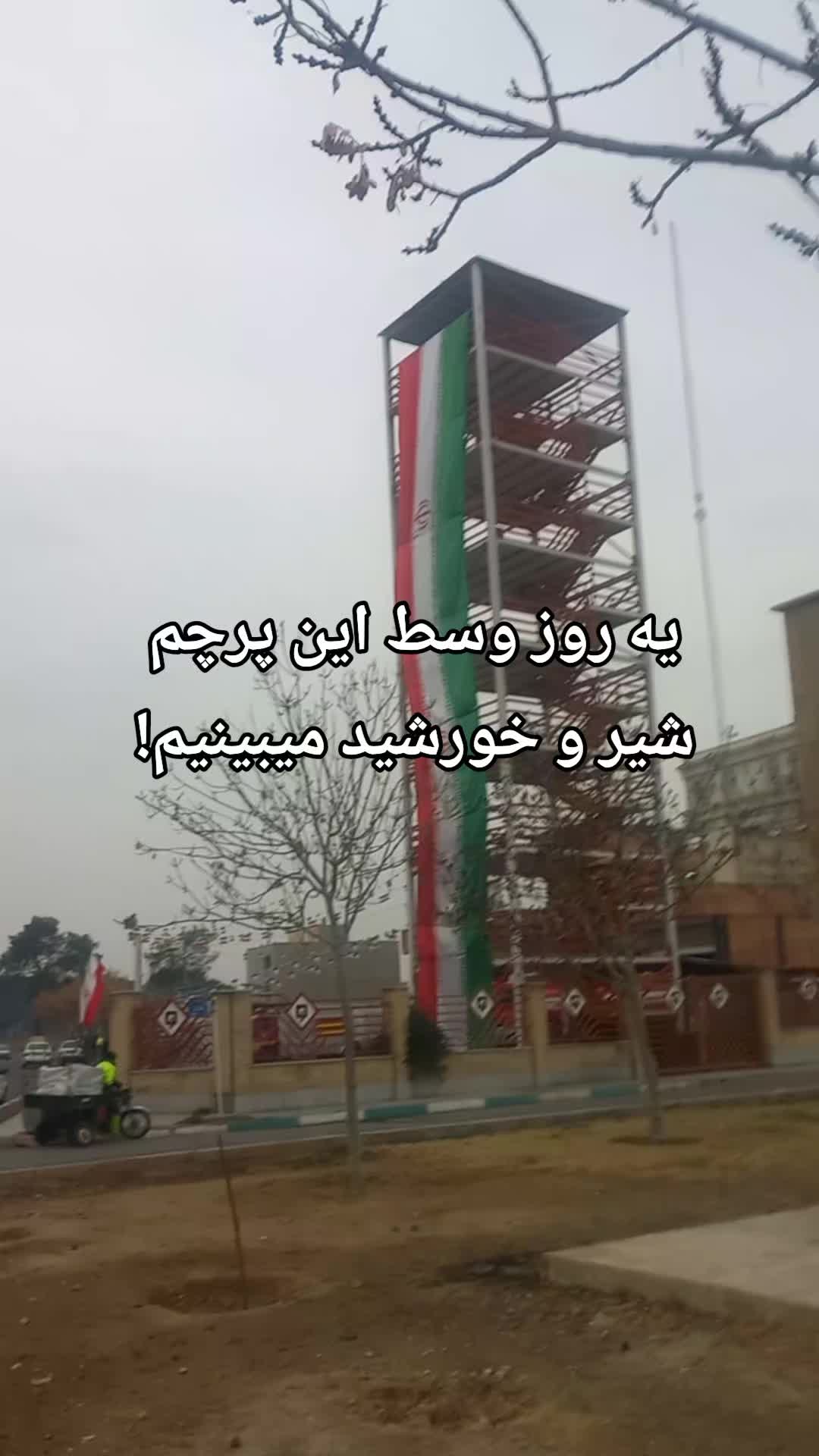 @mahi