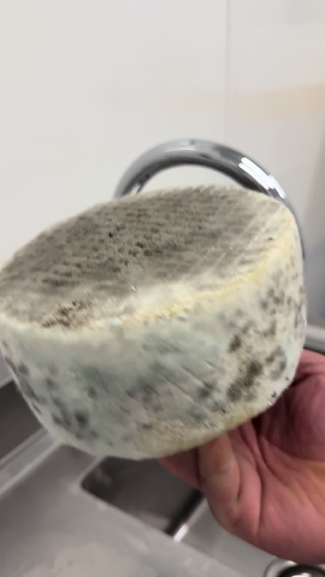 @Yorkshire pecorino
