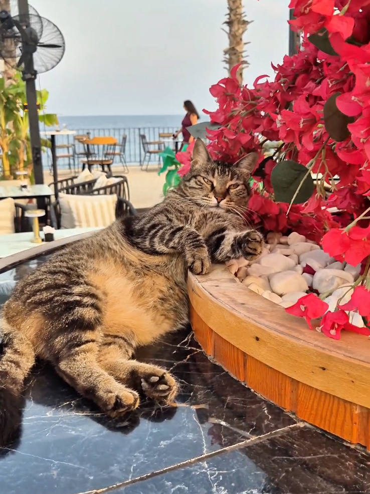 @Antalya❤️