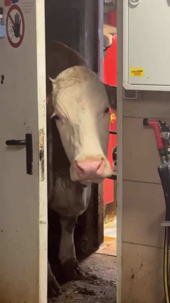 @landwirtschaft.moosbauer