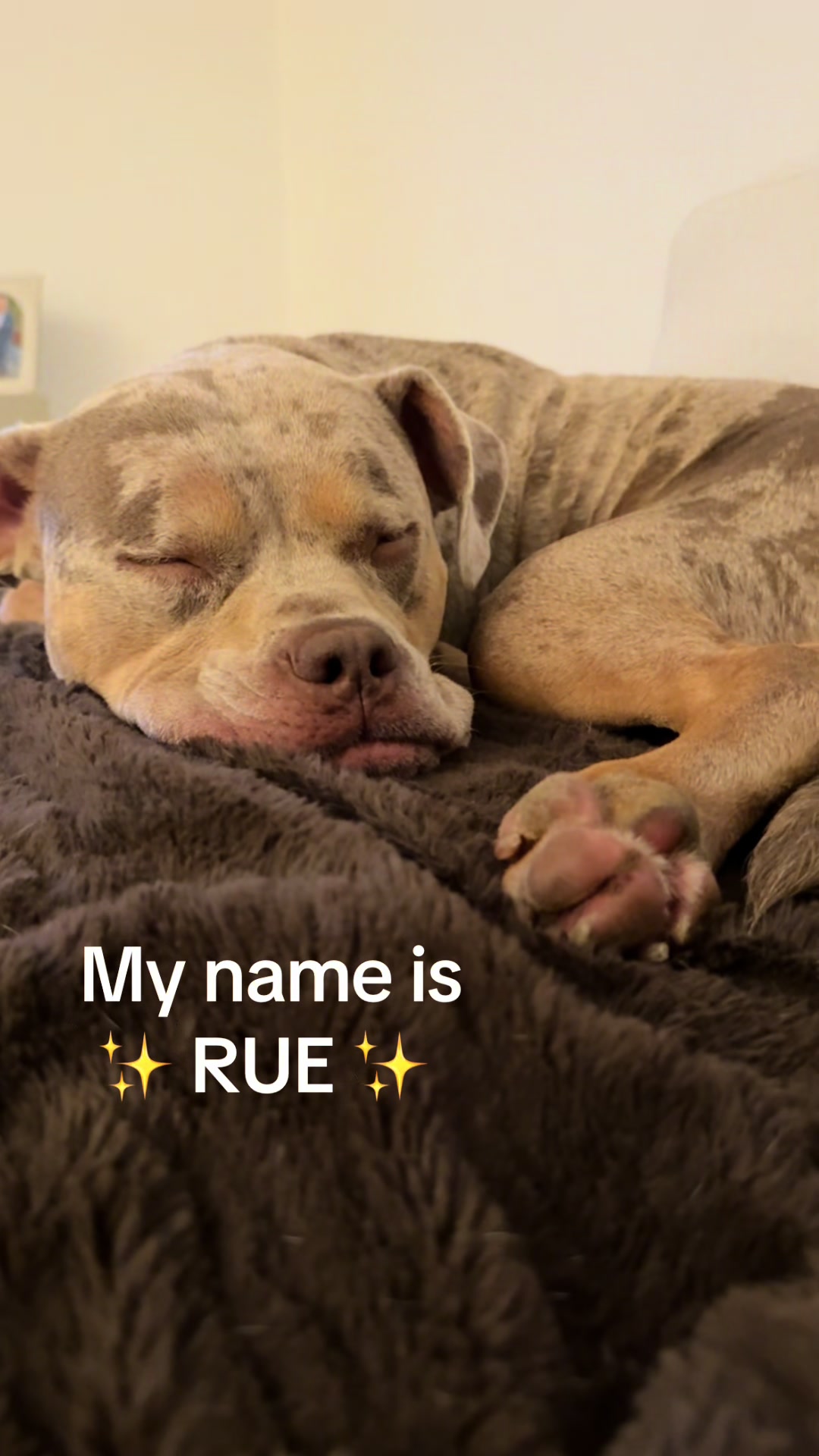 @Rue the Rescue