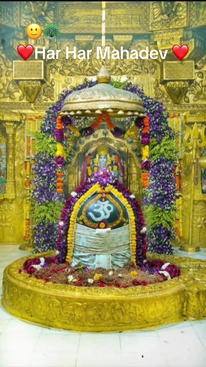 @Radha Radha 🙏