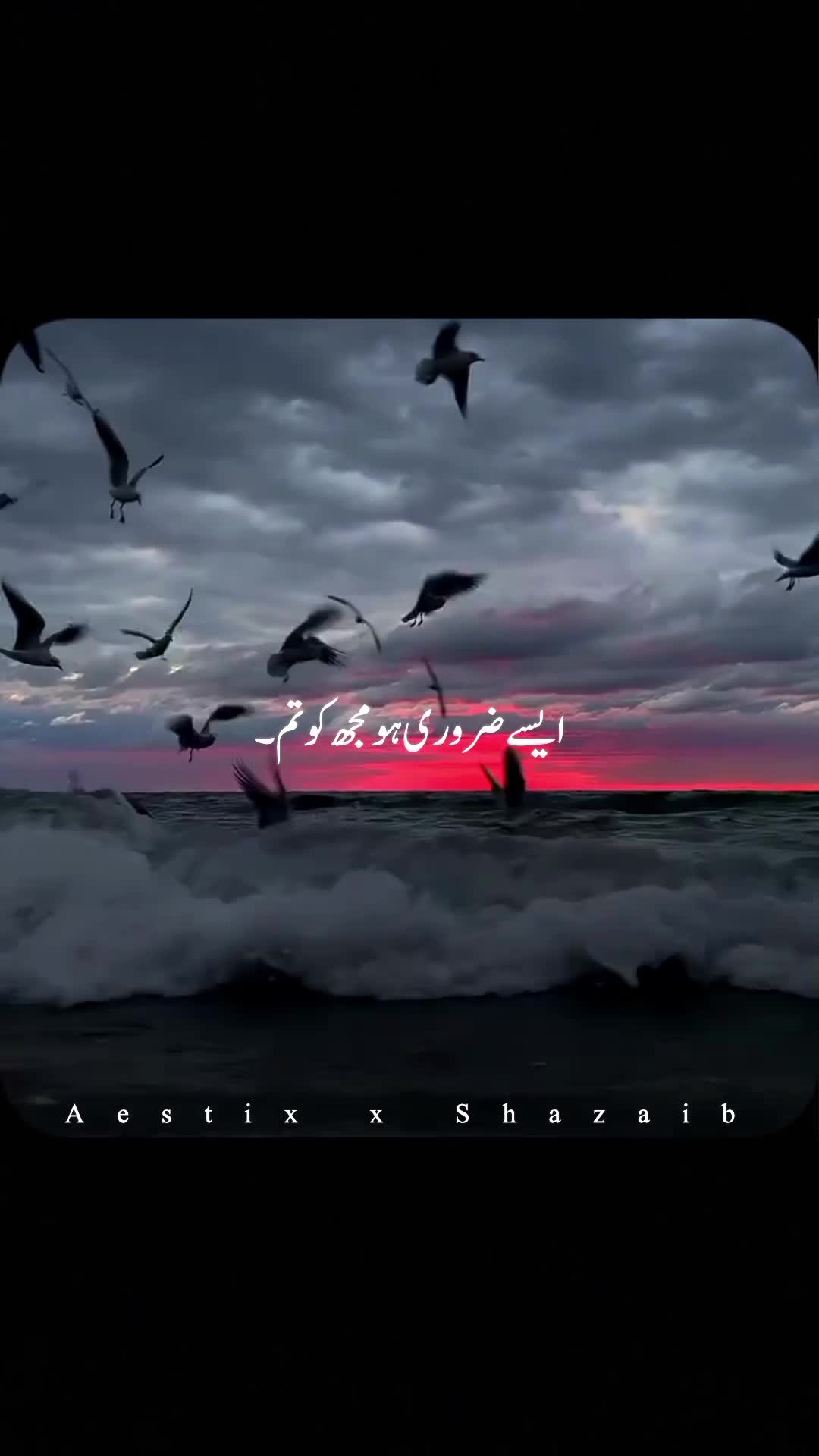 @Aestix x Shazaib