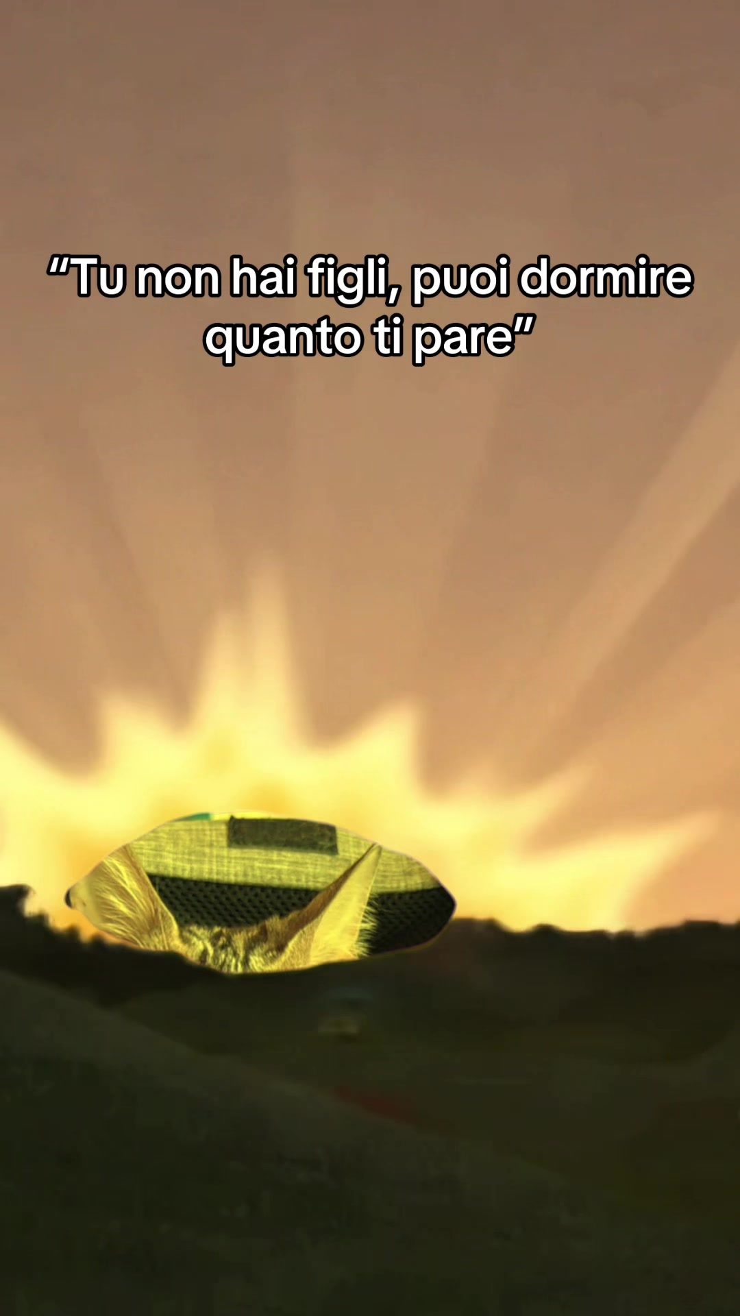 @Primula&Stella