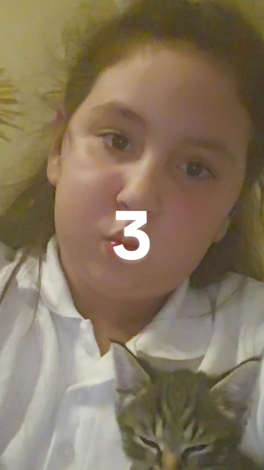 @Mora Rezmives