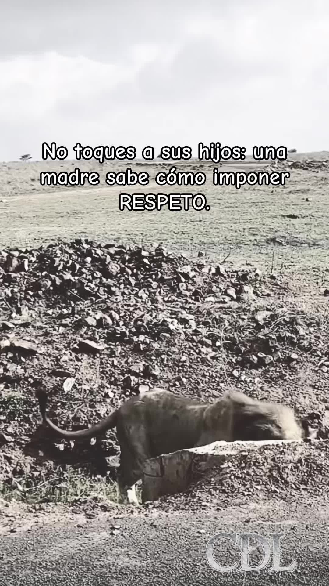 @padresehijos_2.