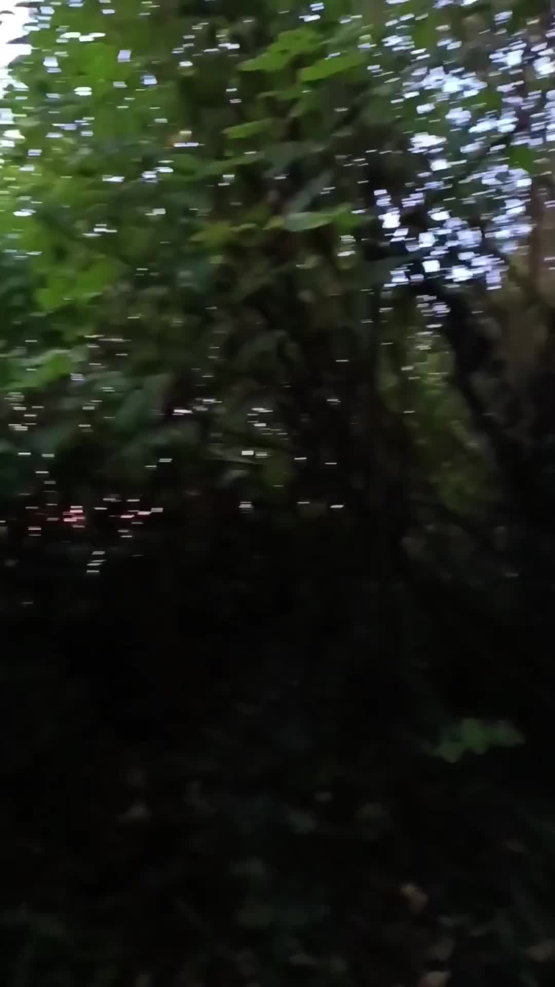@Andy