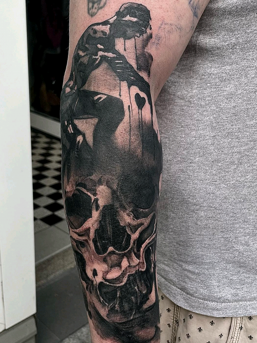 @inkspectionverden