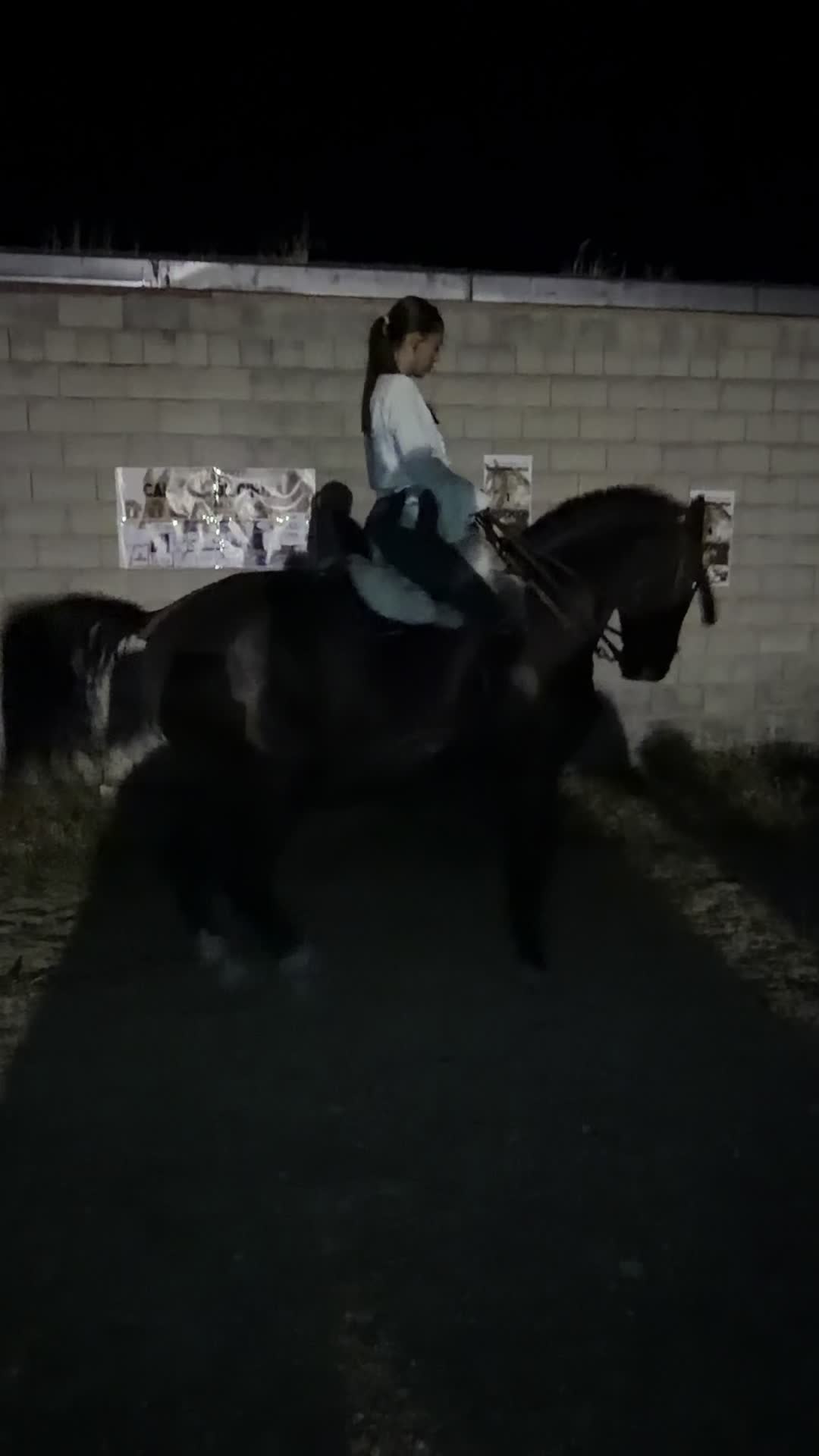 @Sandra Molina🐎🇪🇸