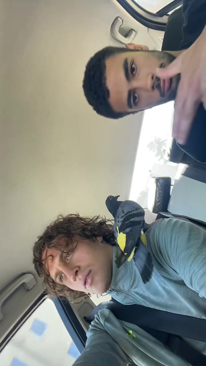 @mlnkdr