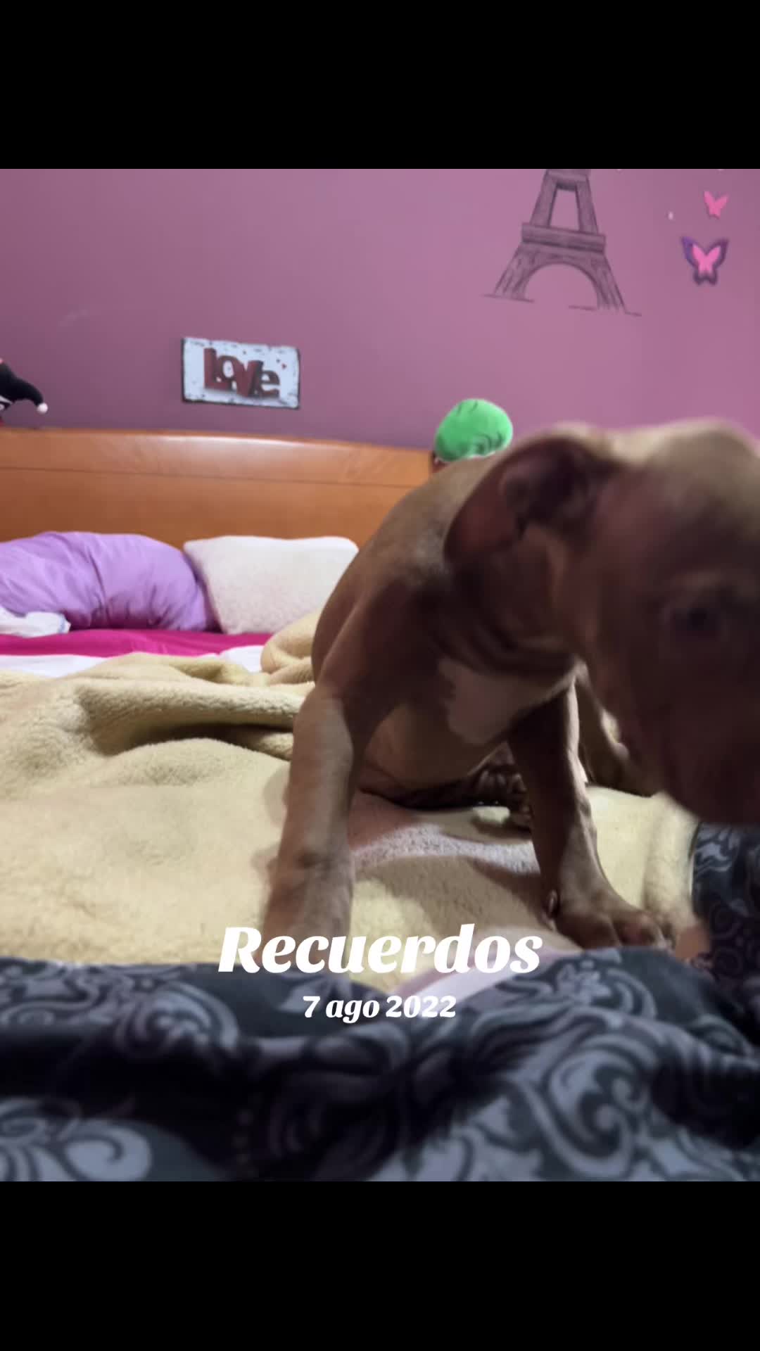 @70 Veces 7 🦋