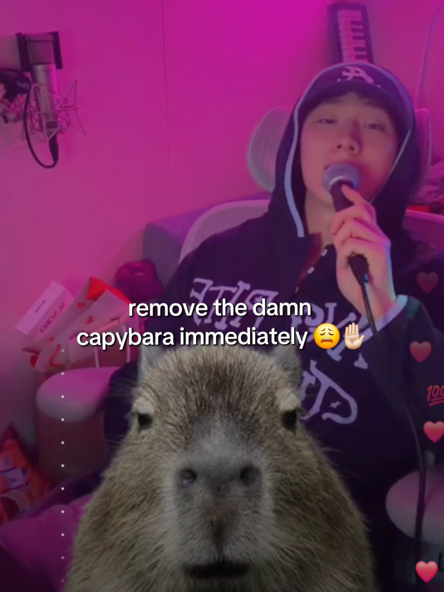 @⋆˙⟡ּeevee⁸ִ ࣪⏳️