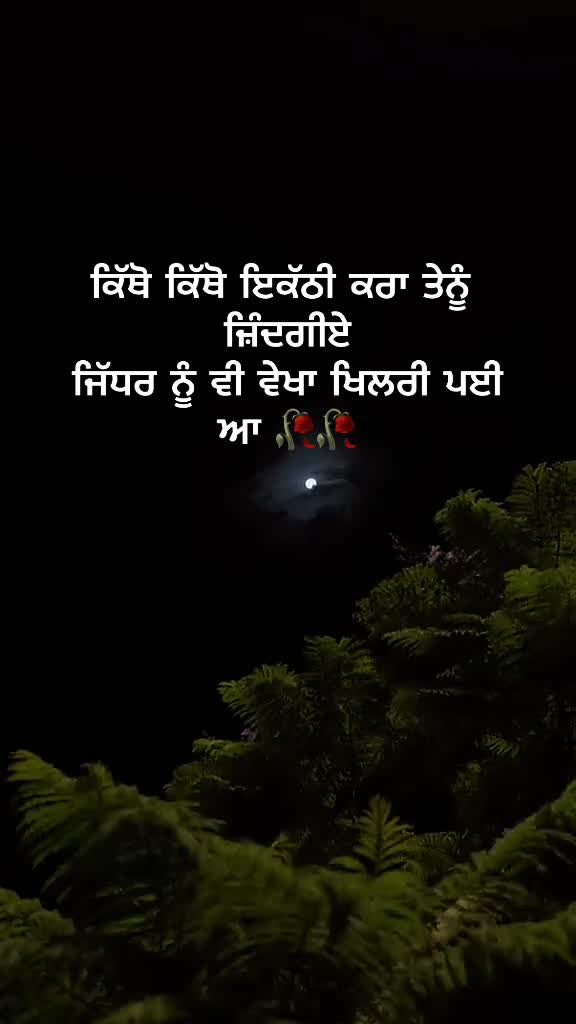@ਗੁੰਮਨਾਮ ✍️
