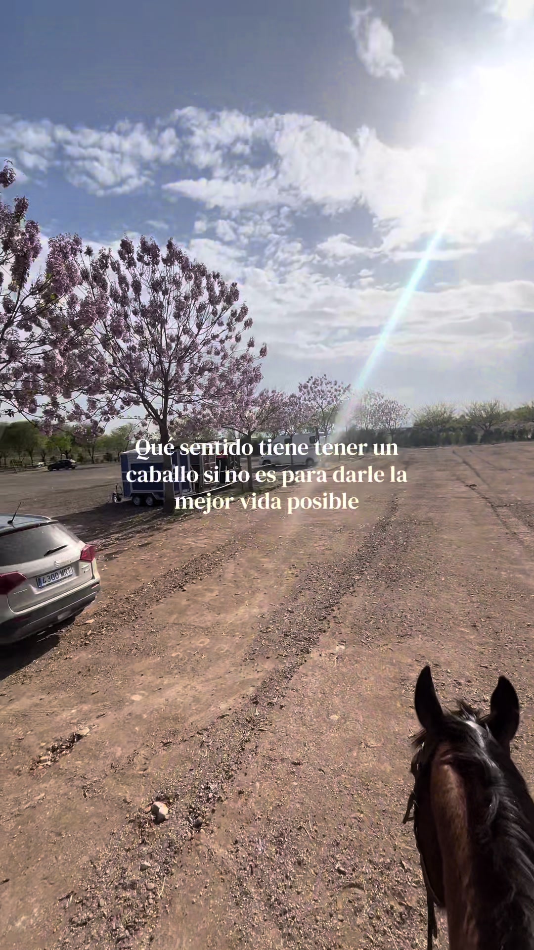 @𝓑𝓪𝓵𝓽𝓲𝓶𝓸𝓻𝓮 🤎