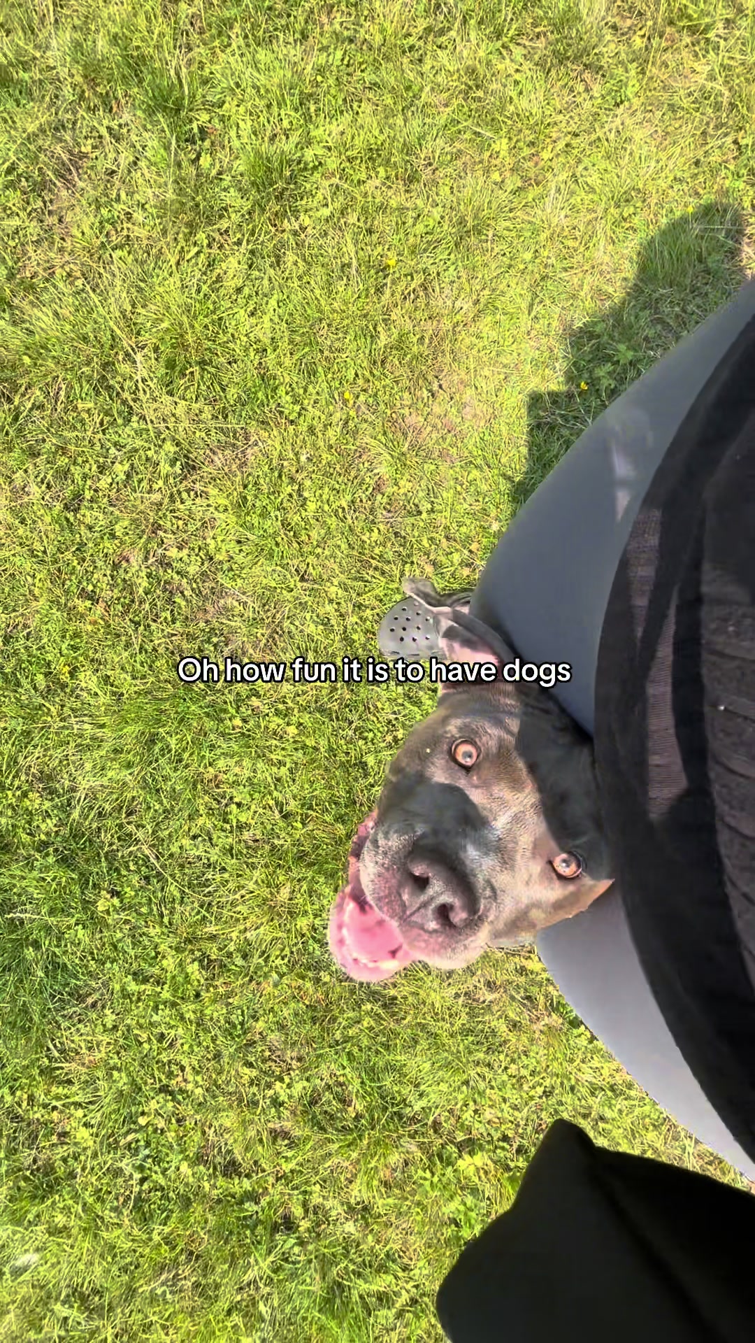 @Amy, Narla & Mika🌷