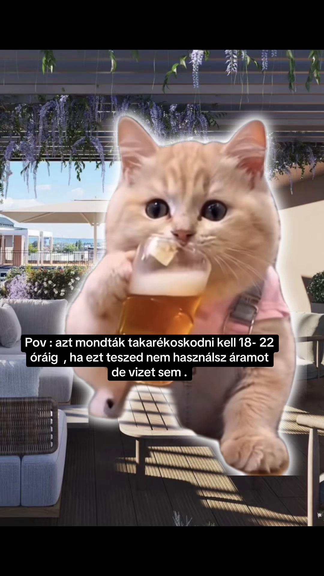 @Nem harap 🅰️ néni 🪷