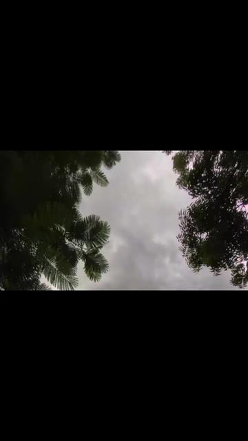 @ســـــارة // 𝑆𝐴𝑅𝐴